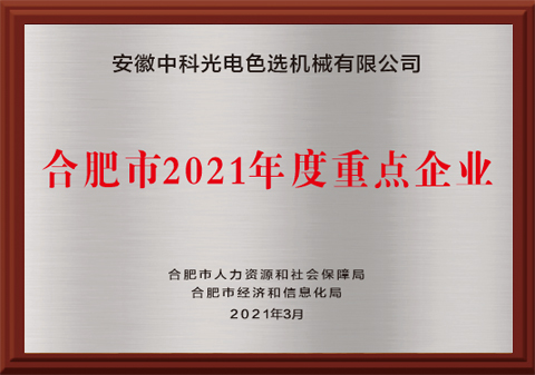 465-合肥市2021年度重點(diǎn)企業(yè)